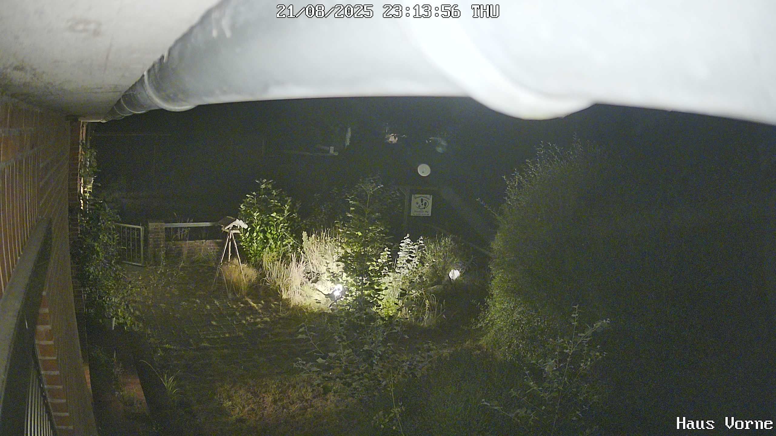 Bild1