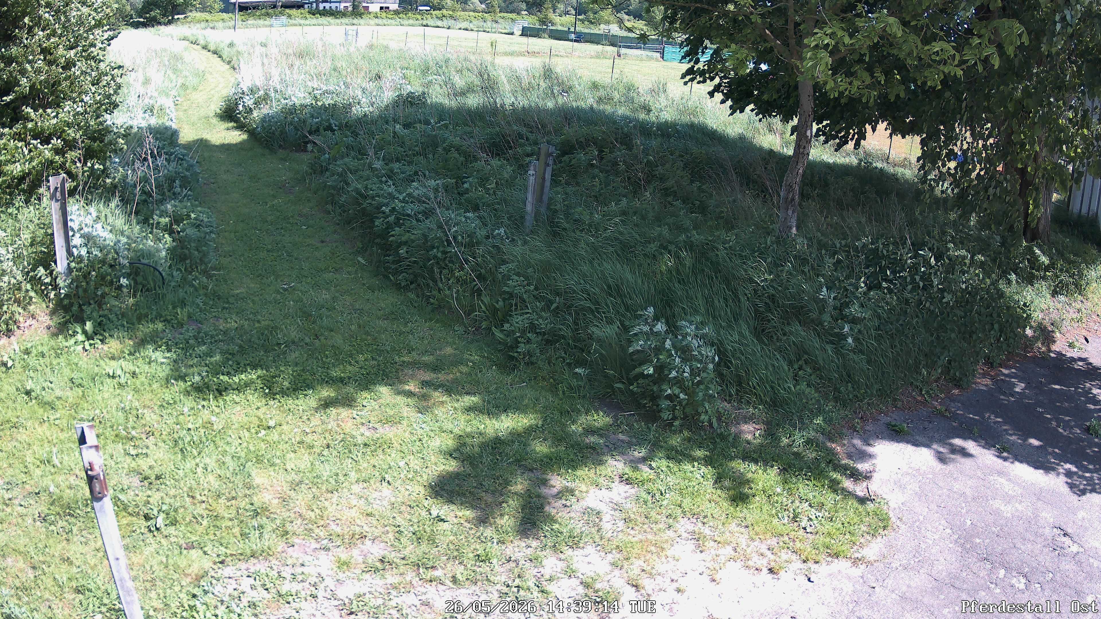 Bild12