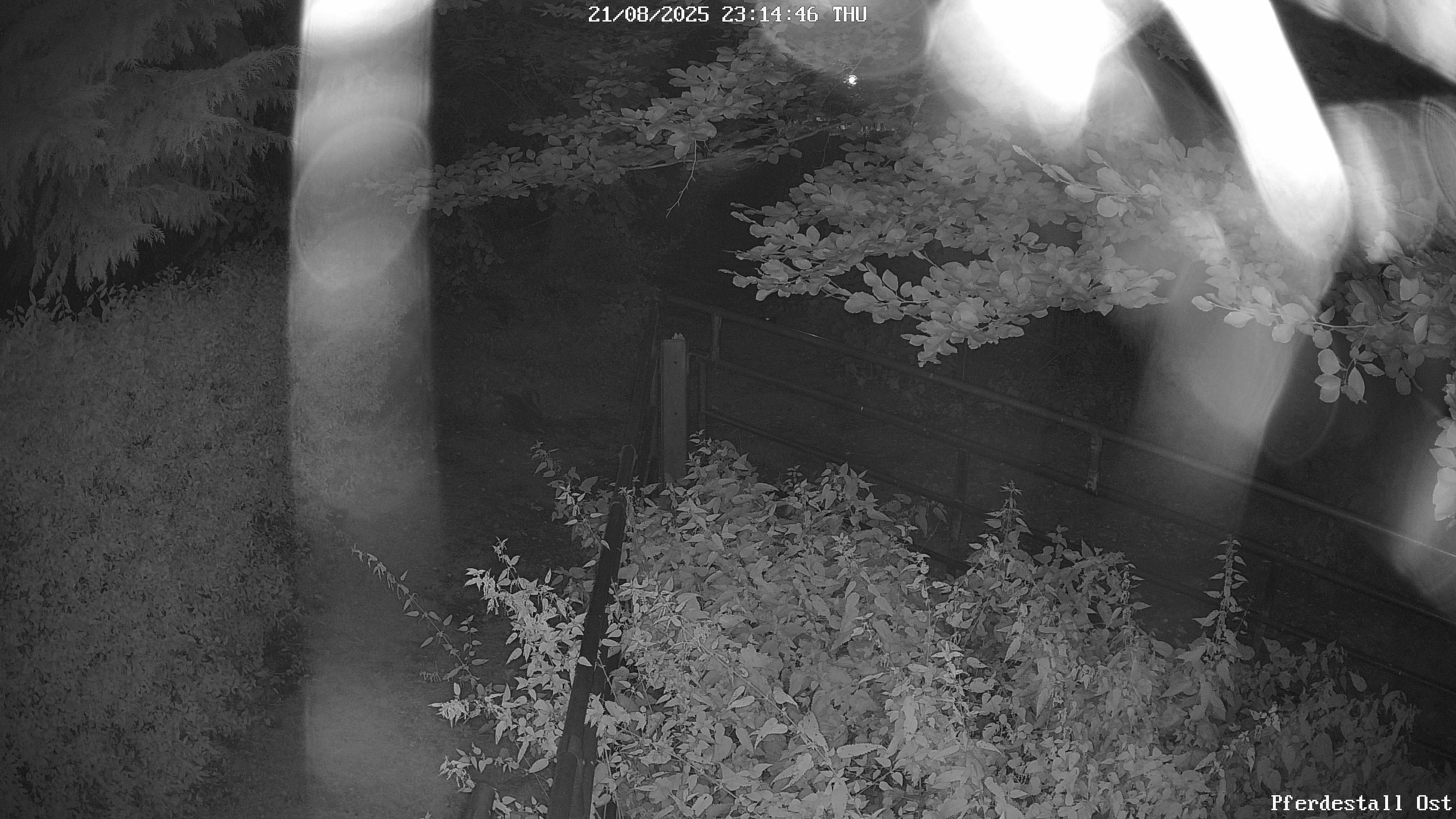 Bild9